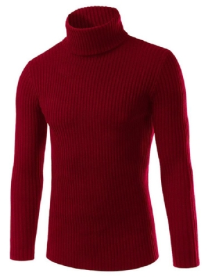 Einfarbiger Rollkragen-slim Herren-pullover