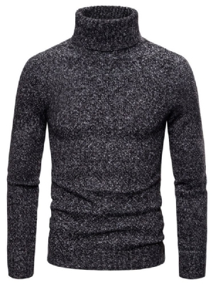 Einfarbiger Rollkragen Standard Casual Herren Pullover