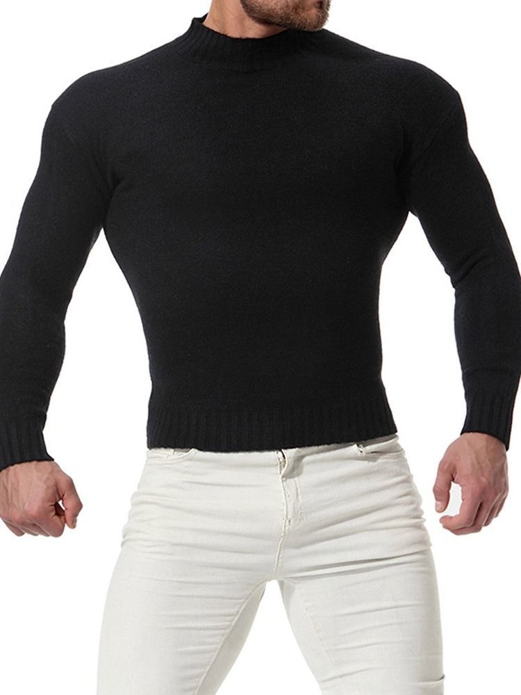 Einfarbiger Stehkragen Casual Slim Herren Pullover