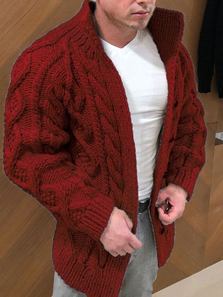 Normaler Einreihiger Schmaler Pullover Mit Rollkragen Für Herren