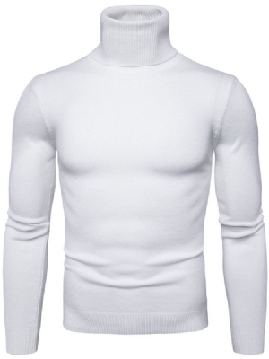 Turtleneck Plain Standard Slim Frühling Herren Pullover