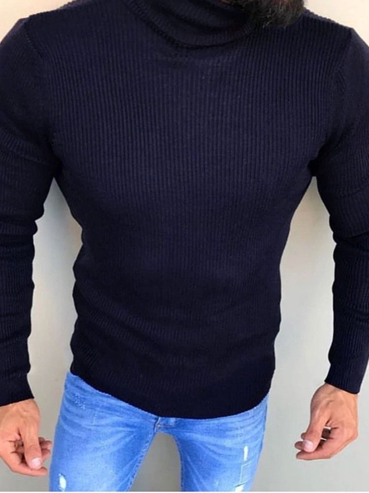 Turtleneck Plain Standard Winter Casual Herren Pullover