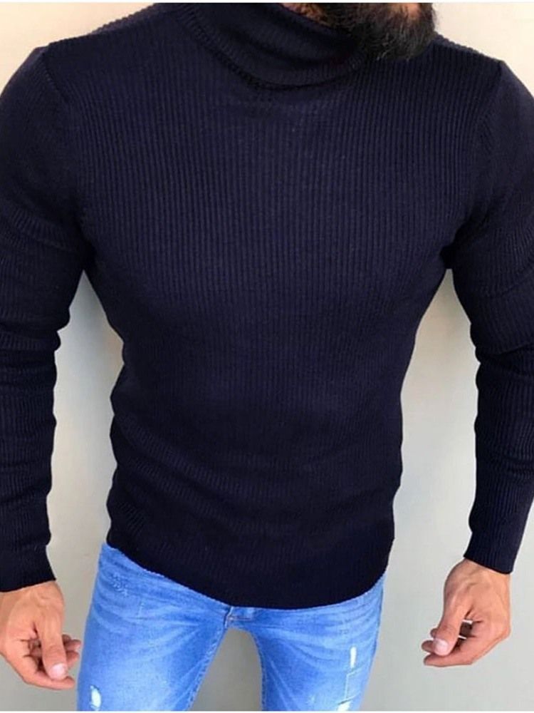 Turtleneck Plain Standard Winter Casual Herren Pullover