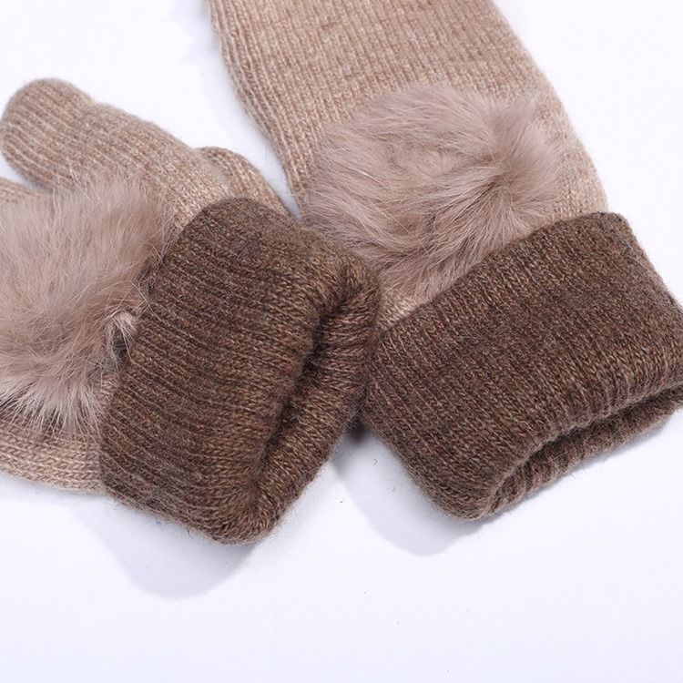 Farbblock-plüsch-winterhandschuhe Für Damen