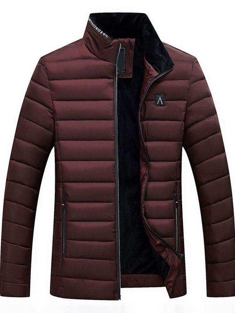 Herren Mantelkragen Standard Korean Zipper Daunenjacke