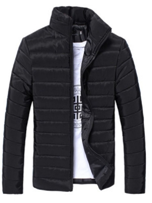 Stehkragen Einfarbiger Reißverschluss Casual Style Herren Daunenjacke